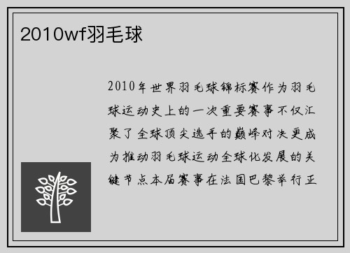 2010wf羽毛球